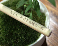 小田原　間伐材ボールペン