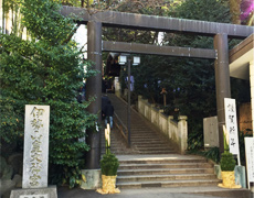 新年 県庁～二宮神社