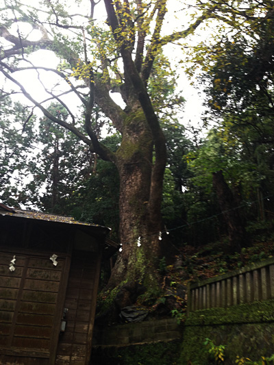 惟喬（これたか）祭