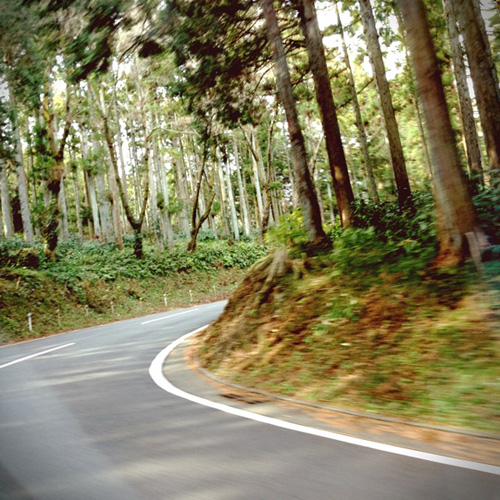 初詣　大雄山最乗寺