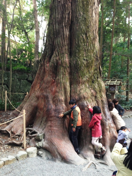 社長の伊勢神宮トリップアルバム