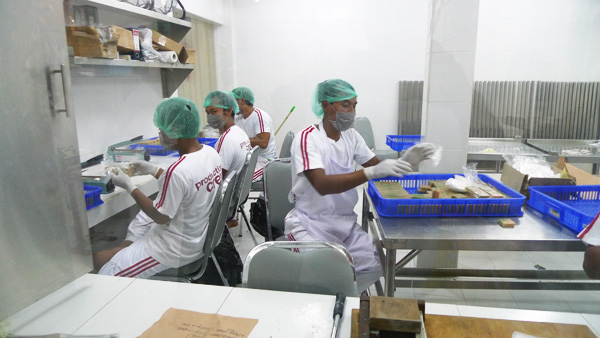 インドネシア　センセイシャ