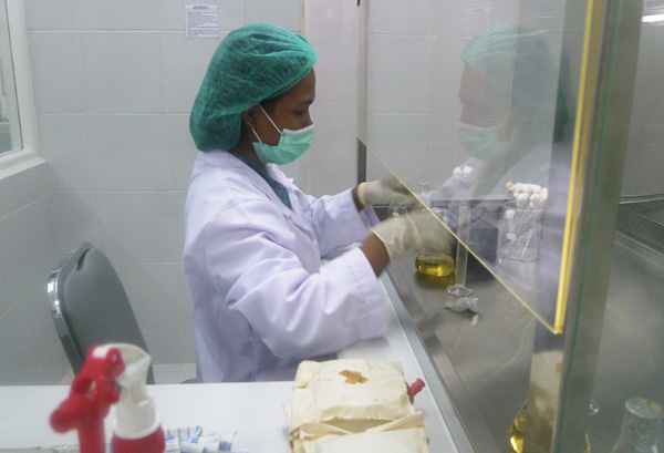 インドネシア　センセイシャ