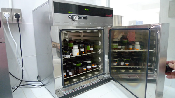 インドネシア　センセイシャ