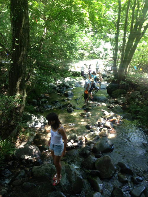 森と木に包まれる夏祭り in いこいの森