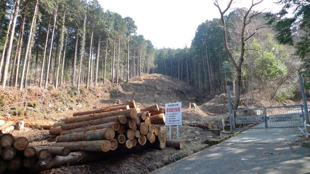 和留沢地区の間伐