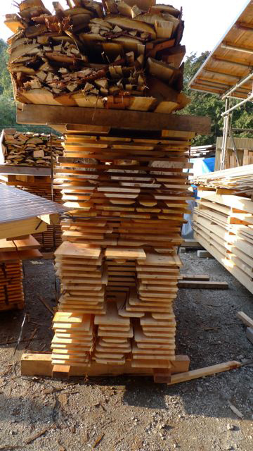 和留沢地区の帯状間伐