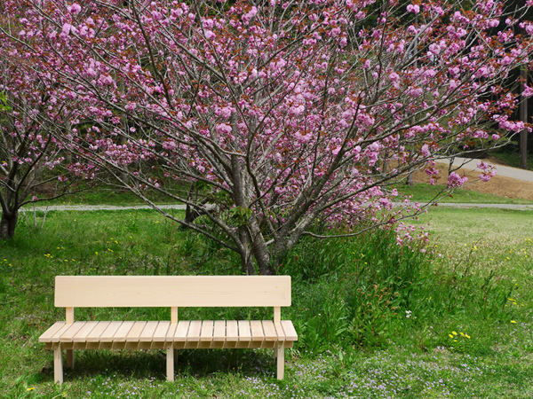 「木のぬくもりを感じるベンチ」製作