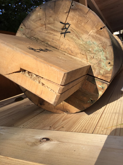 二宮神社　みんなの鳥居プロジェクト