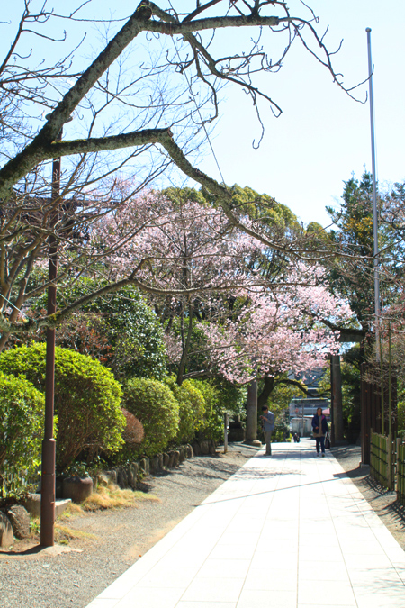 二宮神社　みんなの鳥居プロジェクト ー 根継ぎ