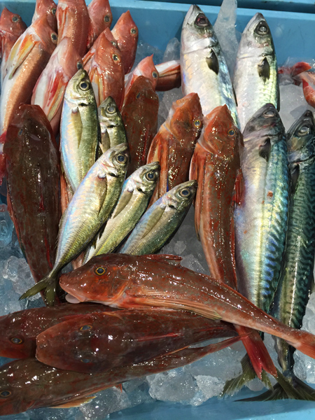 ハルネ小田原第一回駅直朝市場