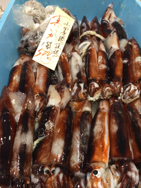 ハルネ小田原第一回駅直朝市場