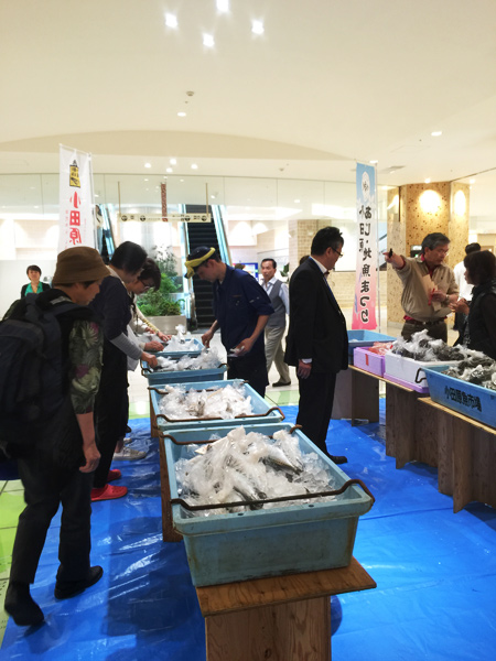 ハルネ小田原第二回駅直朝市場