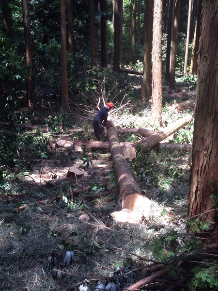 婦人画報さん取材