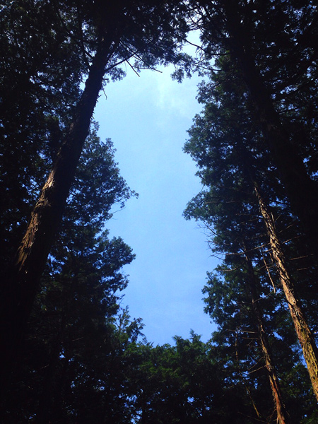 婦人画報さん取材