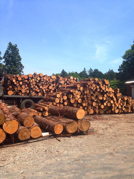 婦人画報さん取材