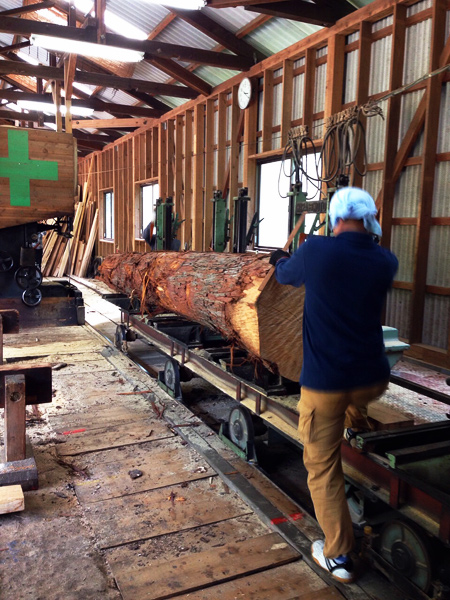 婦人画報さん取材