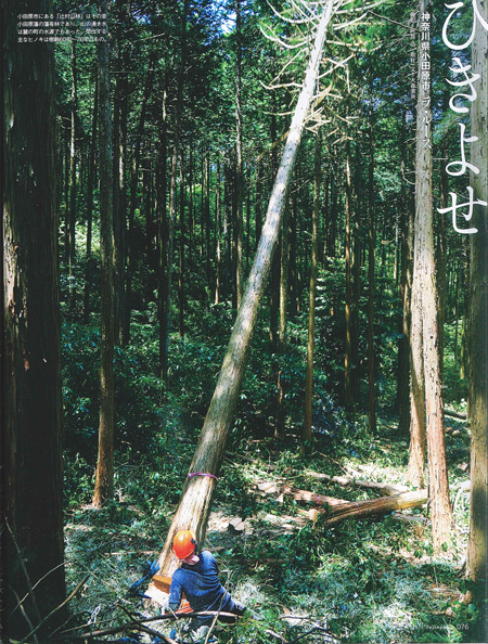 婦人画報 7月号(2015 no.1344) にて『ひきよせ』が紹介されました。