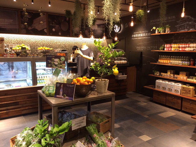 小田原城内報徳の杜（もり）ひろばにオープンカフェが誕生しました。