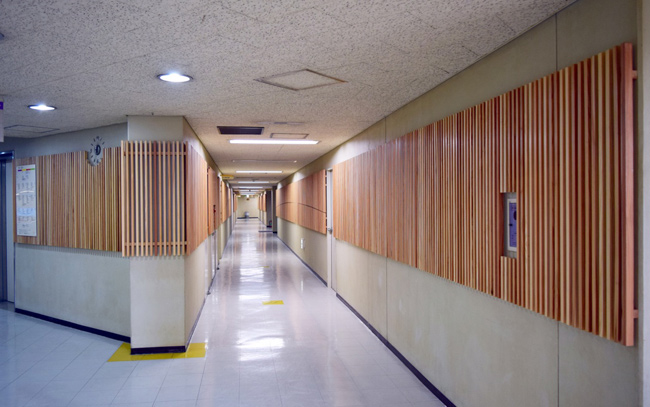 小田原産木材による市庁舎内の木質化