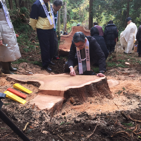 報徳二宮神社　表参道鳥居御用材伐採式に出席しました。