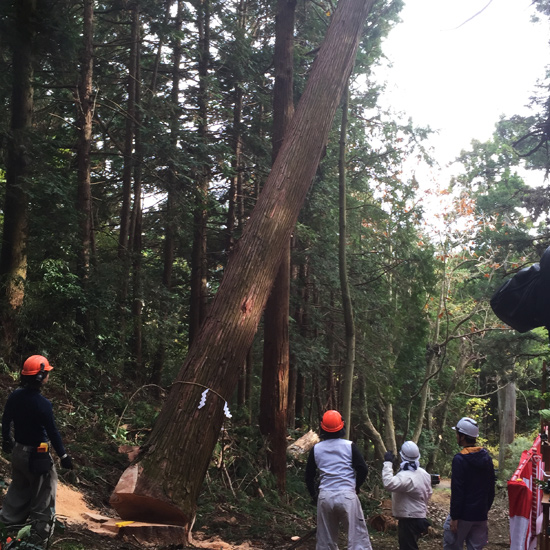 報徳二宮神社　表参道鳥居御用材伐採式に出席しました。