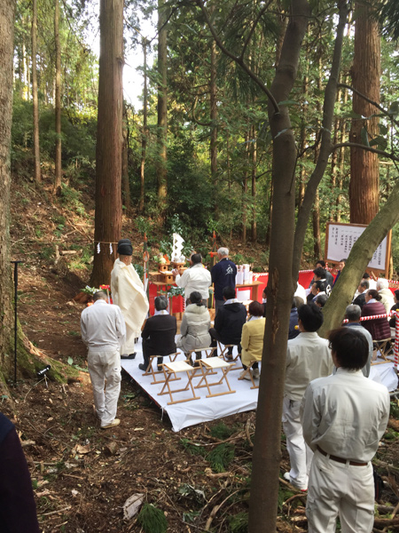 報徳二宮神社　表参道鳥居御用材伐採式に出席しました。
