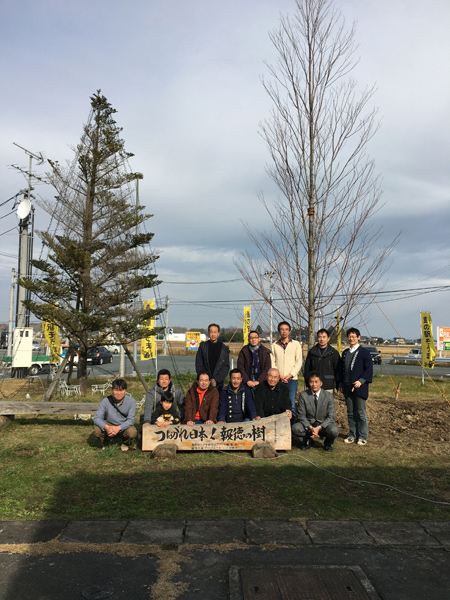 小田原 南相馬 桂の木