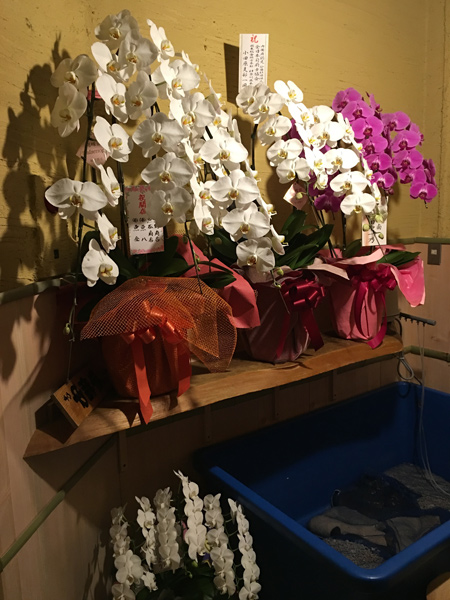 小田原　魚藤（うおとう）さん