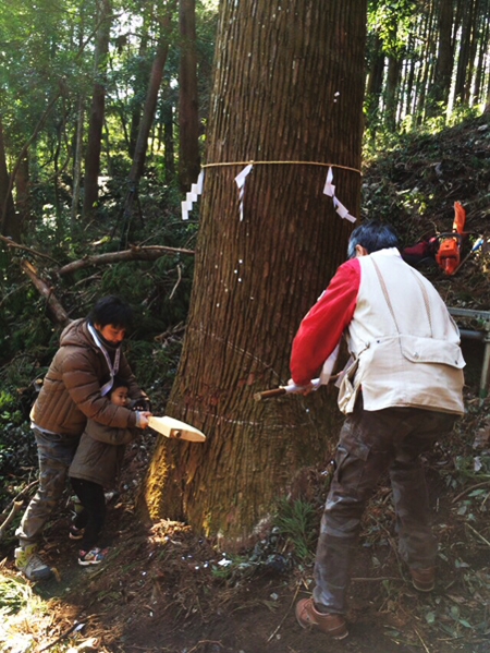 平成28年2月7日（第3回御用材伐採式）