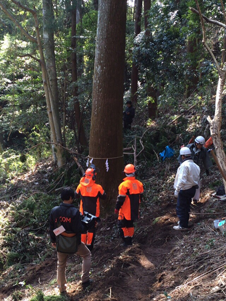 平成28年2月7日（第3回御用材伐採式）