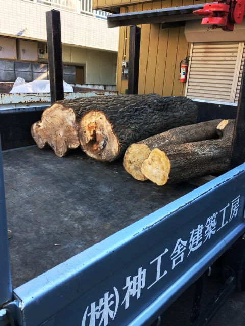 思い出もくもく企画：人見さんのお庭の木　【製材】