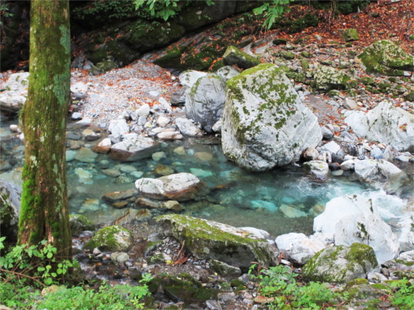 サントリーさんの育林材（プロジェクト）でタンブラーを作製しました。