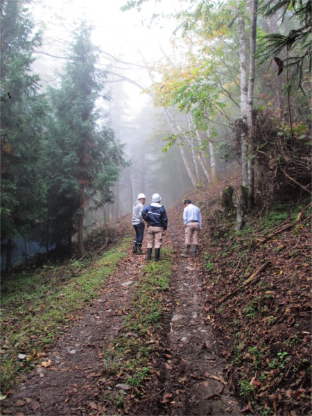 サントリーさんの育林材（プロジェクト）でタンブラーを作製しました。