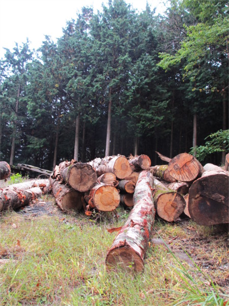 サントリーさんの育林材（プロジェクト）でタンブラーを作製しました。