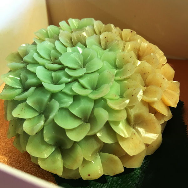 サクラサク　センセイシャアート