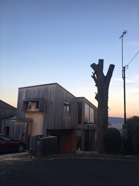 思い出もくもく企画：武藤さんのお庭の木