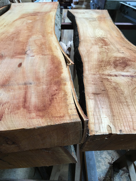 思い出もくもく企画：武藤さんのお庭の木