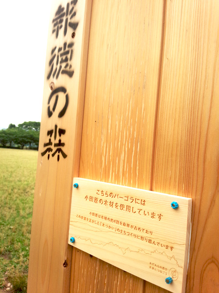 上府中公園（小田原球場）ベンチ修理のお手伝いをしました。