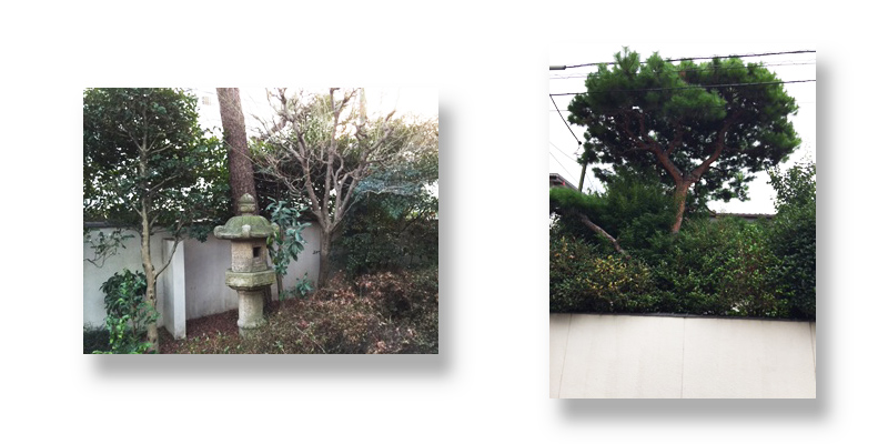 思い出もくもく企画：菅野さんのお庭の木【伐採～製品】