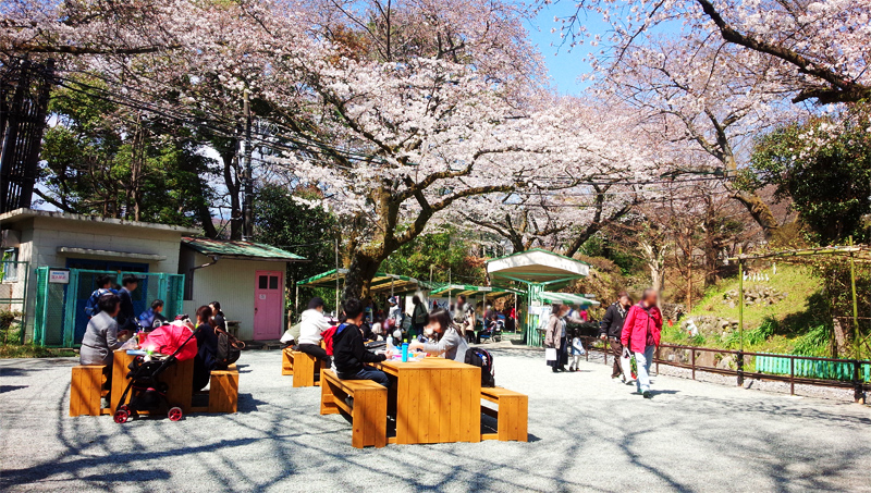 小田原城こども遊園地内にベンチ・ゴミ箱を設置しました。