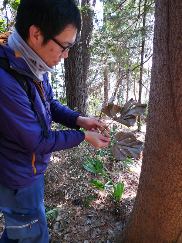 思い出もくもく企画：横浜国立大学の隣接地【伐採準備】