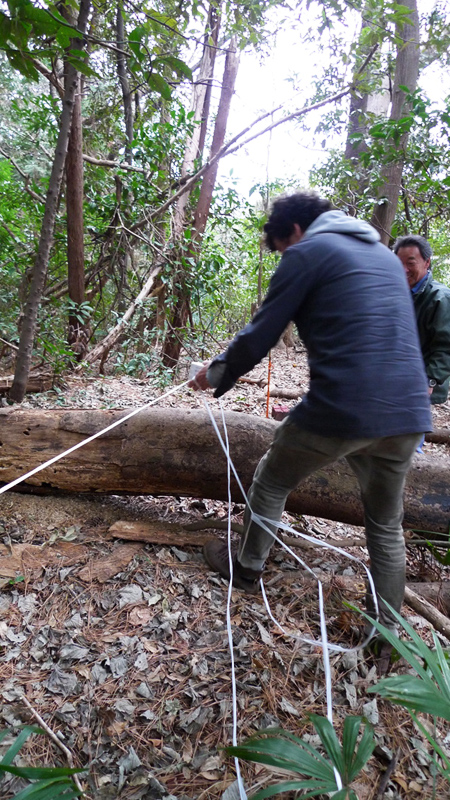 思い出もくもく企画：横浜国立大学の隣接地【伐採準備】