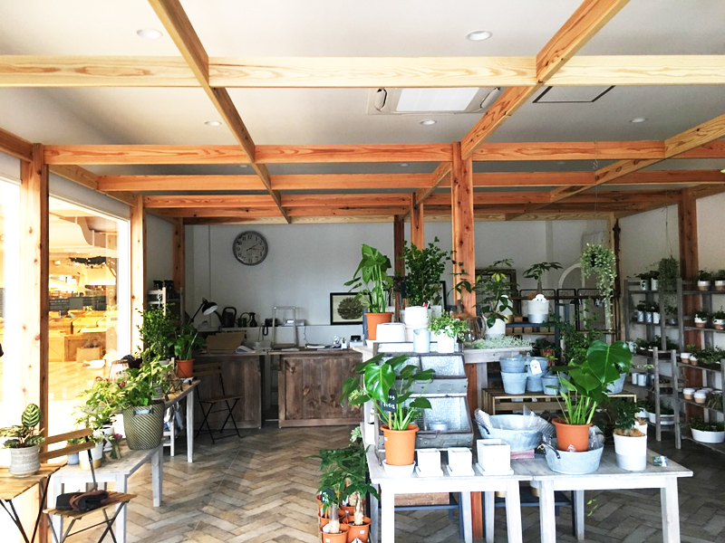 新施設未病バレー「BIOTOPIA（ビオトピア）」内装造作