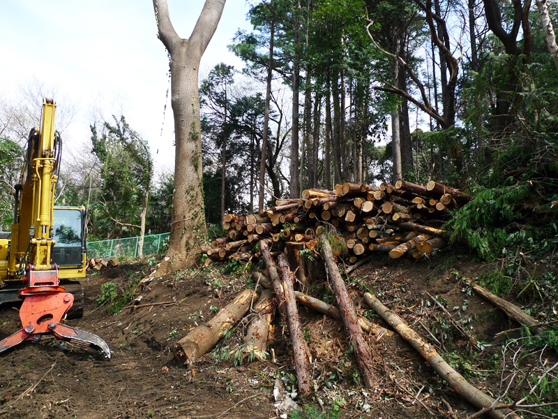 思い出もくもく企画：横浜国立大学の隣接地【伐採】