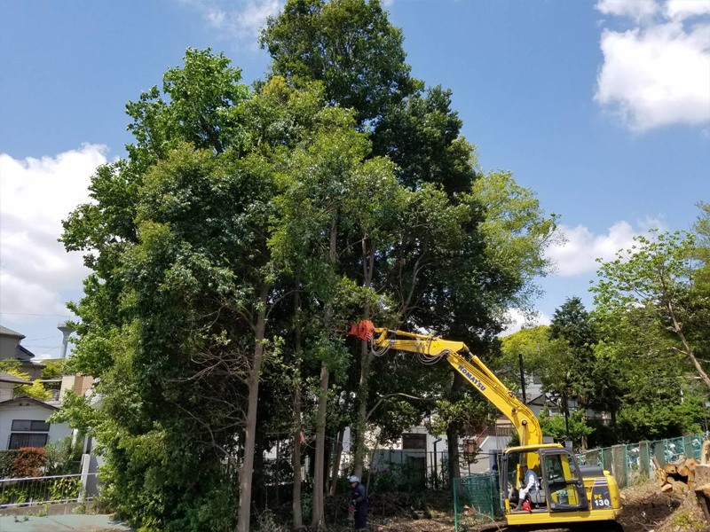 思い出もくもく企画:横浜国立大学の隣接地【伐採・最終】