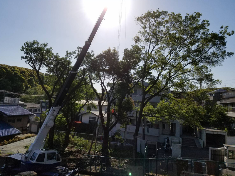 思い出もくもく企画:横浜国立大学の隣接地【伐採・最終】