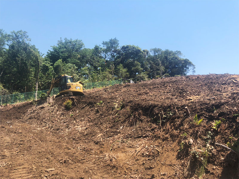 思い出もくもく企画:横浜国立大学の隣接地【伐採・最終】