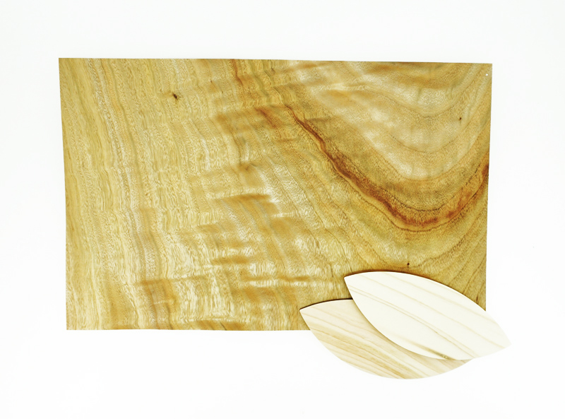 小田原市が主催する「きまつり」に参加しました。