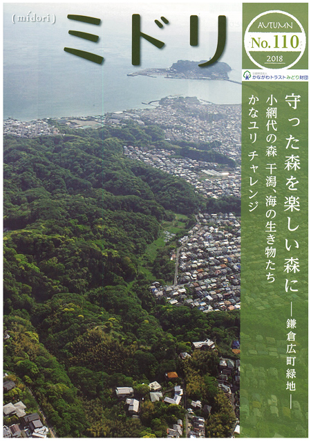 木の感謝状制作に協力しました。